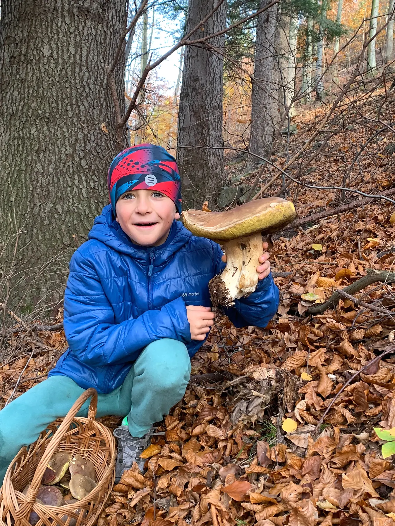 Mushroom picking